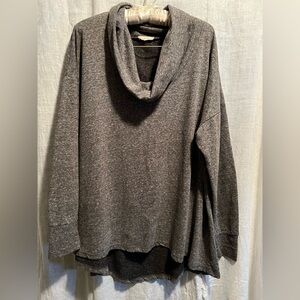 Easel Los Angeles oversized shirt in gray and black. Size large. Large neck.